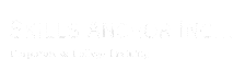 skill anchor logo